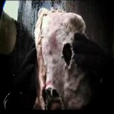 Clip Tito Mendoza - Condamne underground