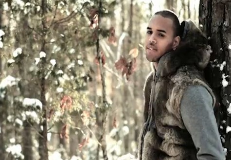 chris-brown-forest